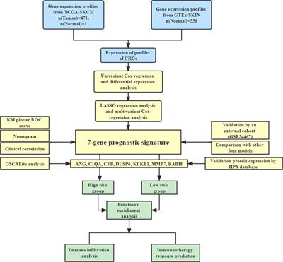 Characterization of coagulation-related gene signature to predict prognosis and tumor immune microenvironment in skin cutaneous melanoma